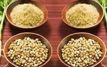 Coriander Seeds
