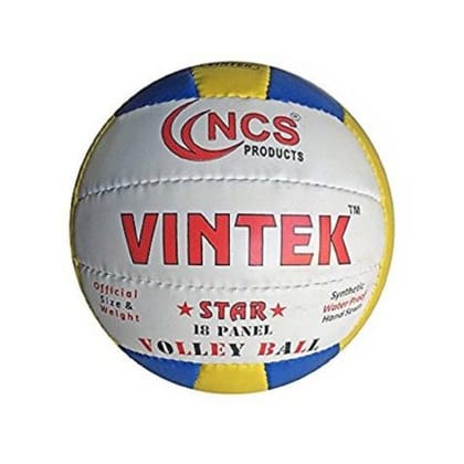 Vintek Volley Ball Volleyball Size: 4