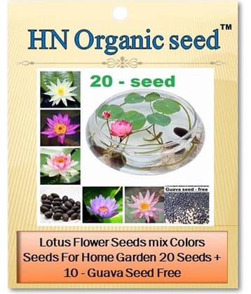 homeagro - Flower Seeds ( 20 )