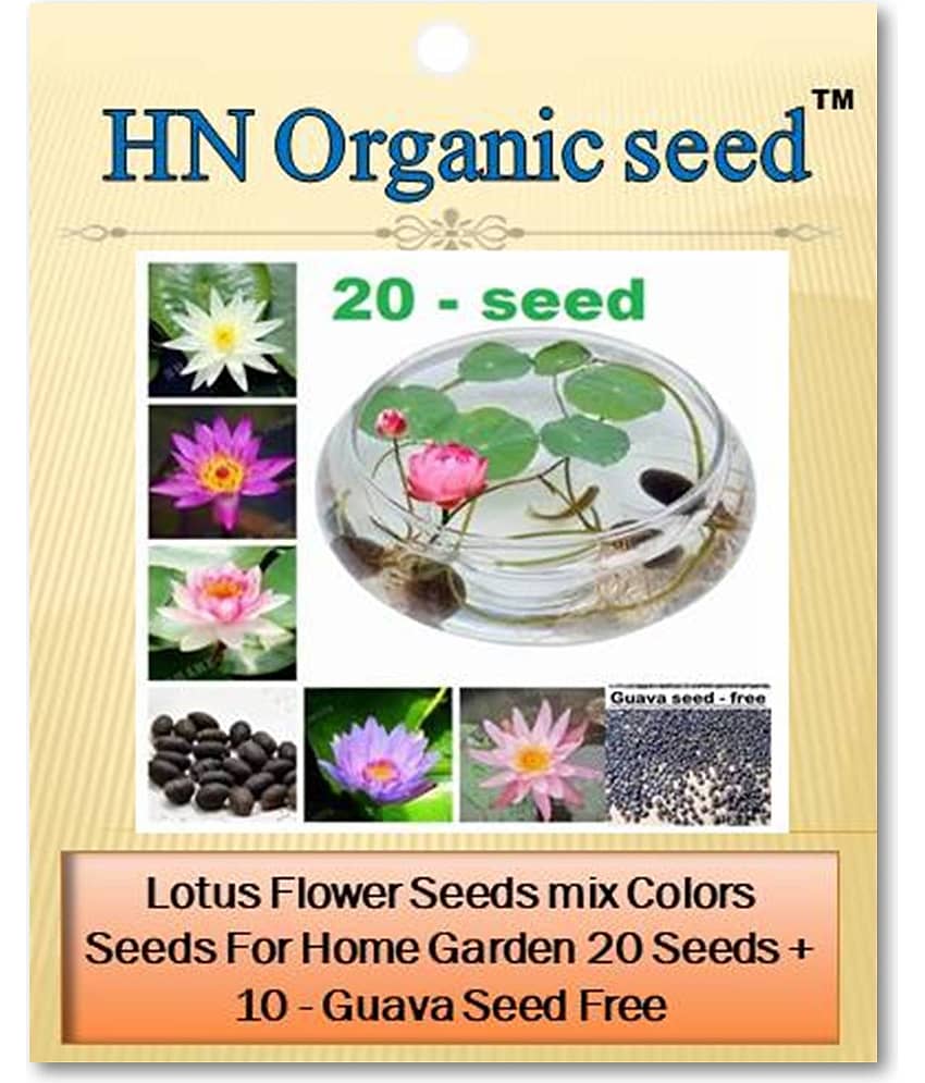 homeagro - Flower Seeds ( 20 )