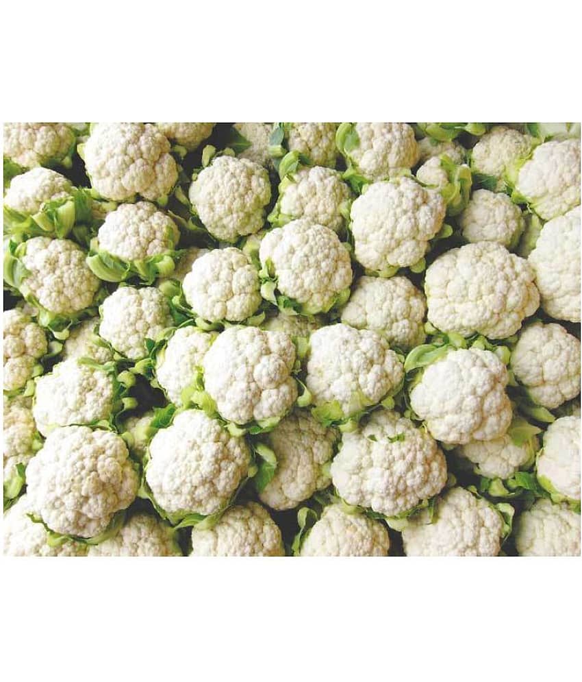 Rare Cauliflower Seeds Pack for Indoor Garden
