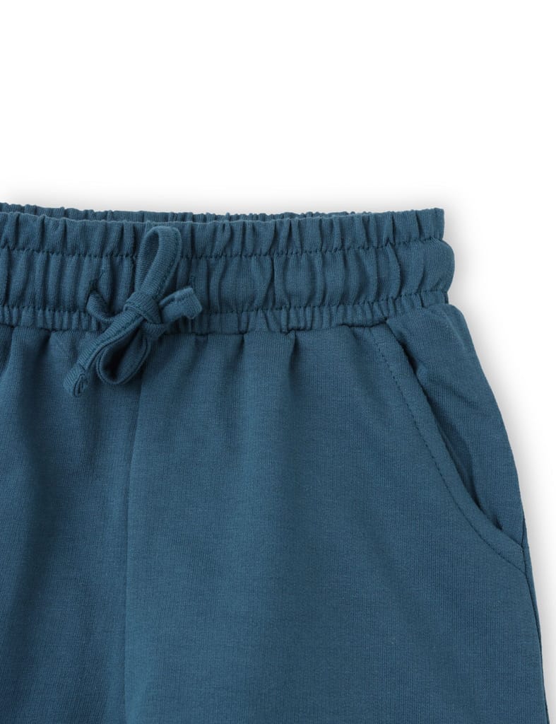 Premium Kids Boys Shorts Cotton French Terry Blue Coral Dino Crossing Zone 2025 at ShopCircuit |