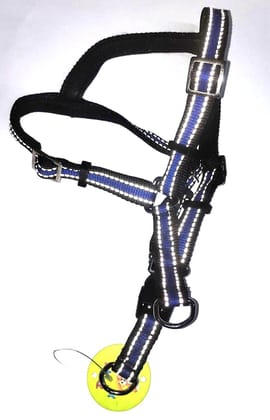 Radium Petted Body Harness 1 inch