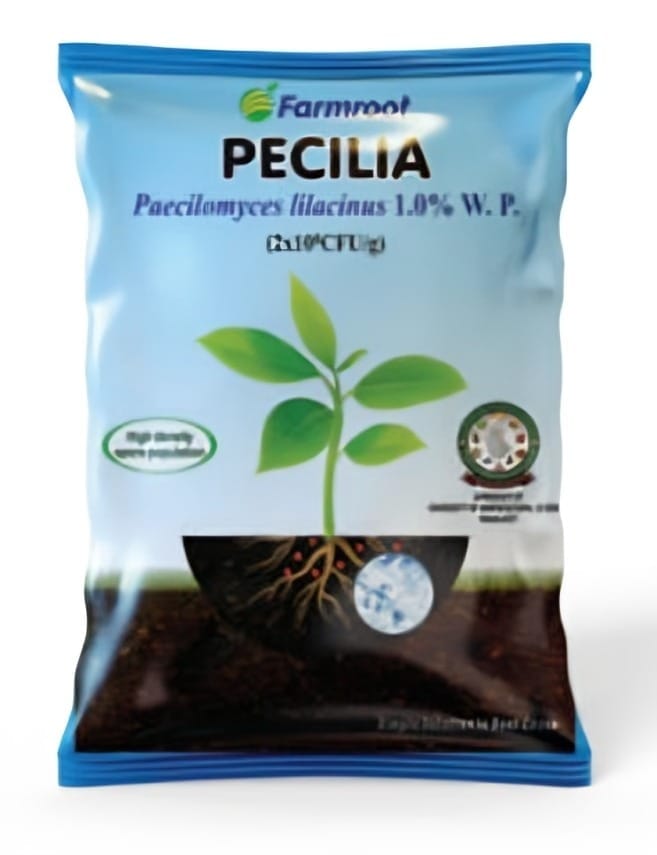 FARM PECILIA  - 1*10KG