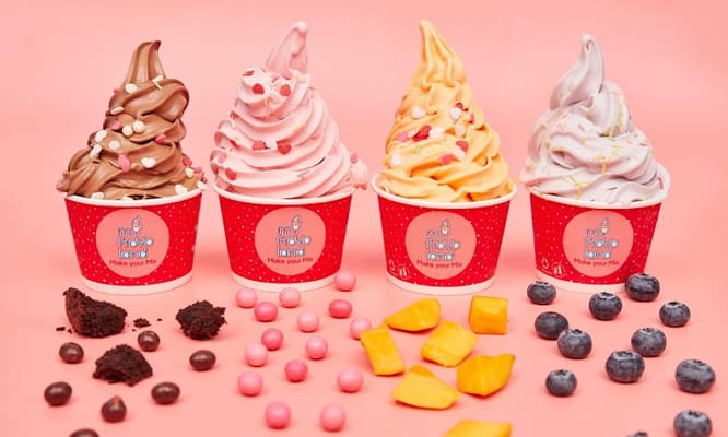 Myfroyoland Premium Frozen Yogurt