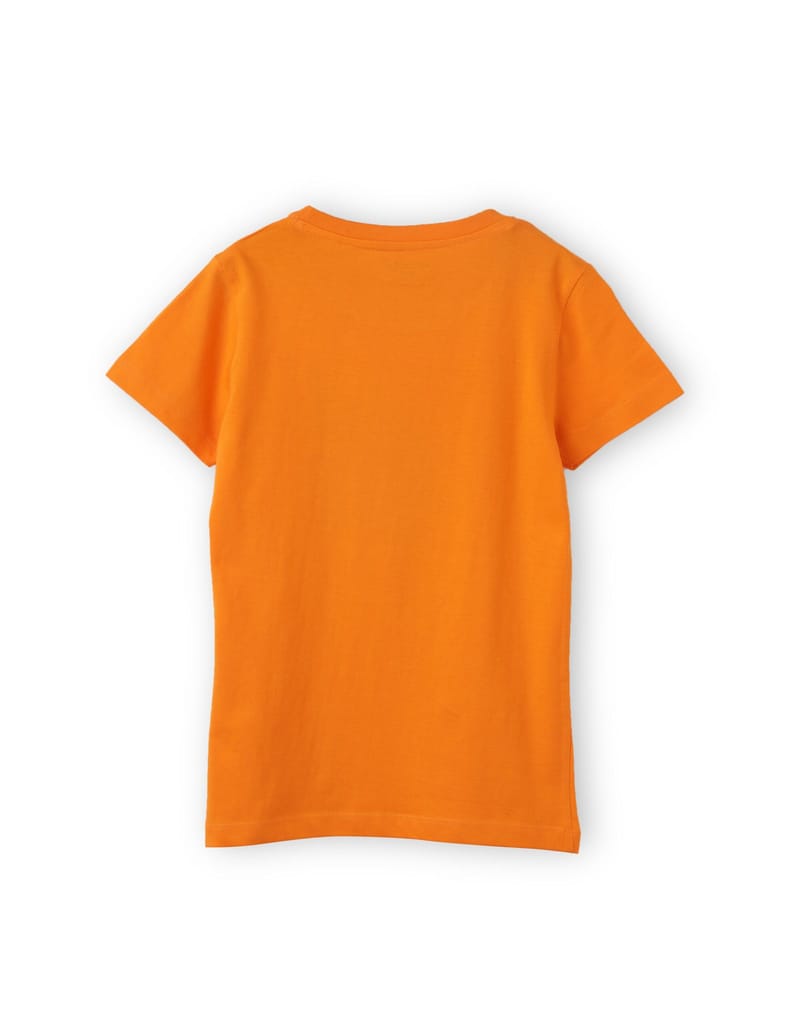 Luxurious Kids Girls T shirt Cotton Vibrant Orange Cool Ice Creams 2025 at ShopCircuit | ONDC