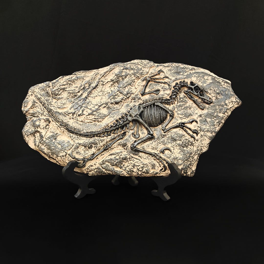 DINO FOSSIL DECOR-BIG DINO