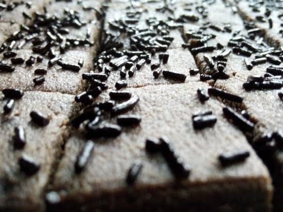 BANGLARMISTI Chocolate Sandesh - Bengali Fusion Sweets, Chocolate Flavoured,10pcs Pack