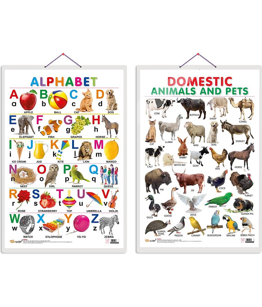Set of 2 (Alphabet and (Domestic Animals and Pets) Early Learning Educational Charts for Kids | 20"X30" inch |Non-Tearable and Waterproof | Double Sided Laminated | Perfect for Homeschooling, Kindergarten and Nursery Students