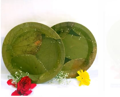 12"round Bufet plate   100 PCS