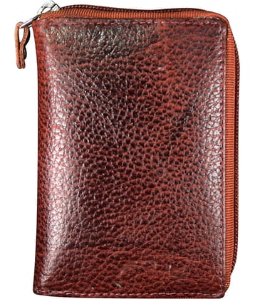 STYLE SHOES Leather Travel Card Holder ( Pack of 1 )