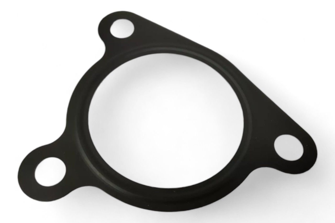 Maruti Suzuki Gasket Water Pump AV492107