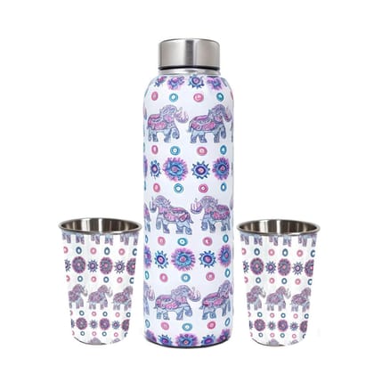 La'Forte Premium 1000 Ml Stainless Steel Bottle 02x250 Ml Drinking Glass (Purple Elephant)
