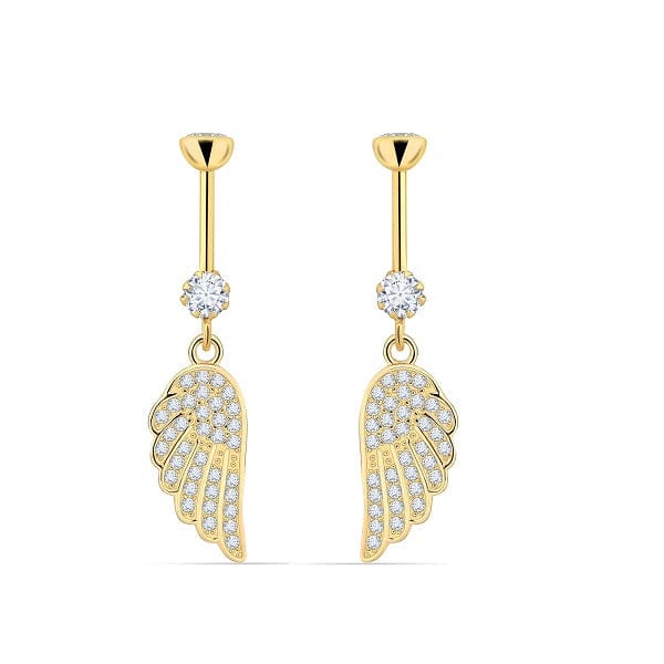 ANGEL WINGS HANGING