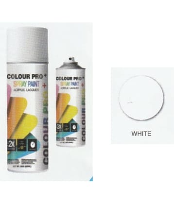Colour Pro+ Spray Paint 300 - 700 ML