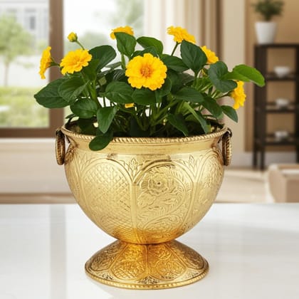 Brass Planter Gamla � Traditional Handcrafted Planter, Height : 14.5 Inch (FMAS597 D)