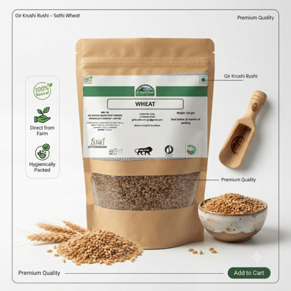 WHEAT - 250 gm - One pack of wheat