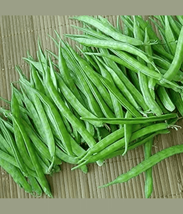 PARTHVA SEEDS Hybrid Cluster Beans Vegetable ( 100 Seeds )
