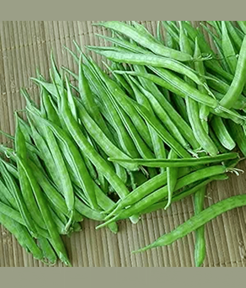 PARTHVA SEEDS Hybrid Cluster Beans Vegetable ( 100 Seeds )
