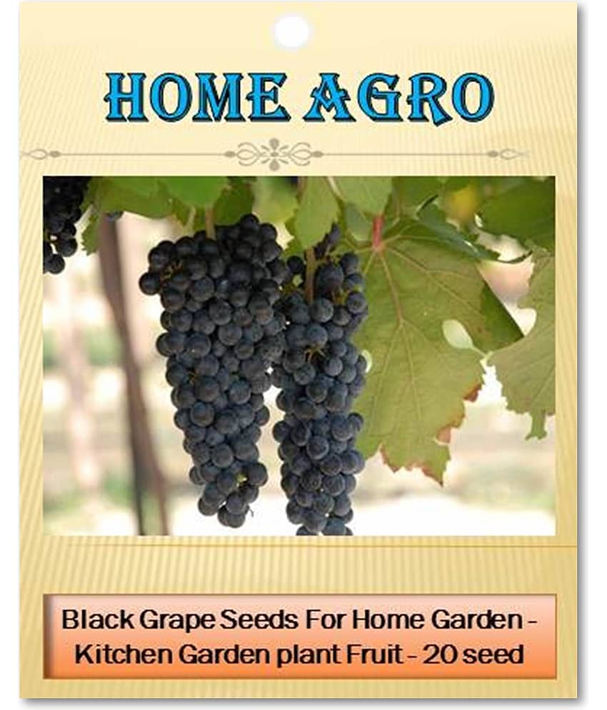 homeagro - Fruit Seeds ( 20 seeds )