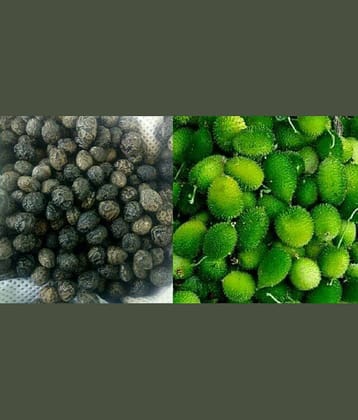 Kantola Seed (Teasle gourd) | Pack of 20 Seeds