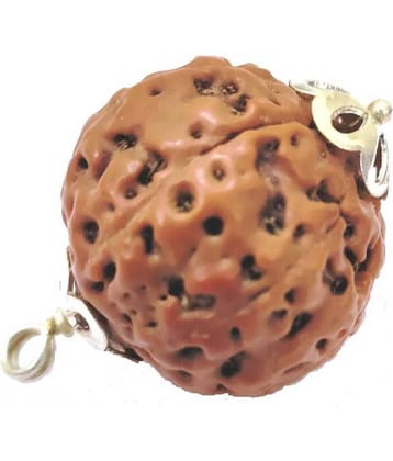 Astrodidi 8 Mukhi Rudraksha Indonesian Big Size Pendant With Lab Certificate Original, Real And Natural