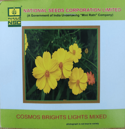 NSC Cosmos Brights Lights Mixed Flower seed