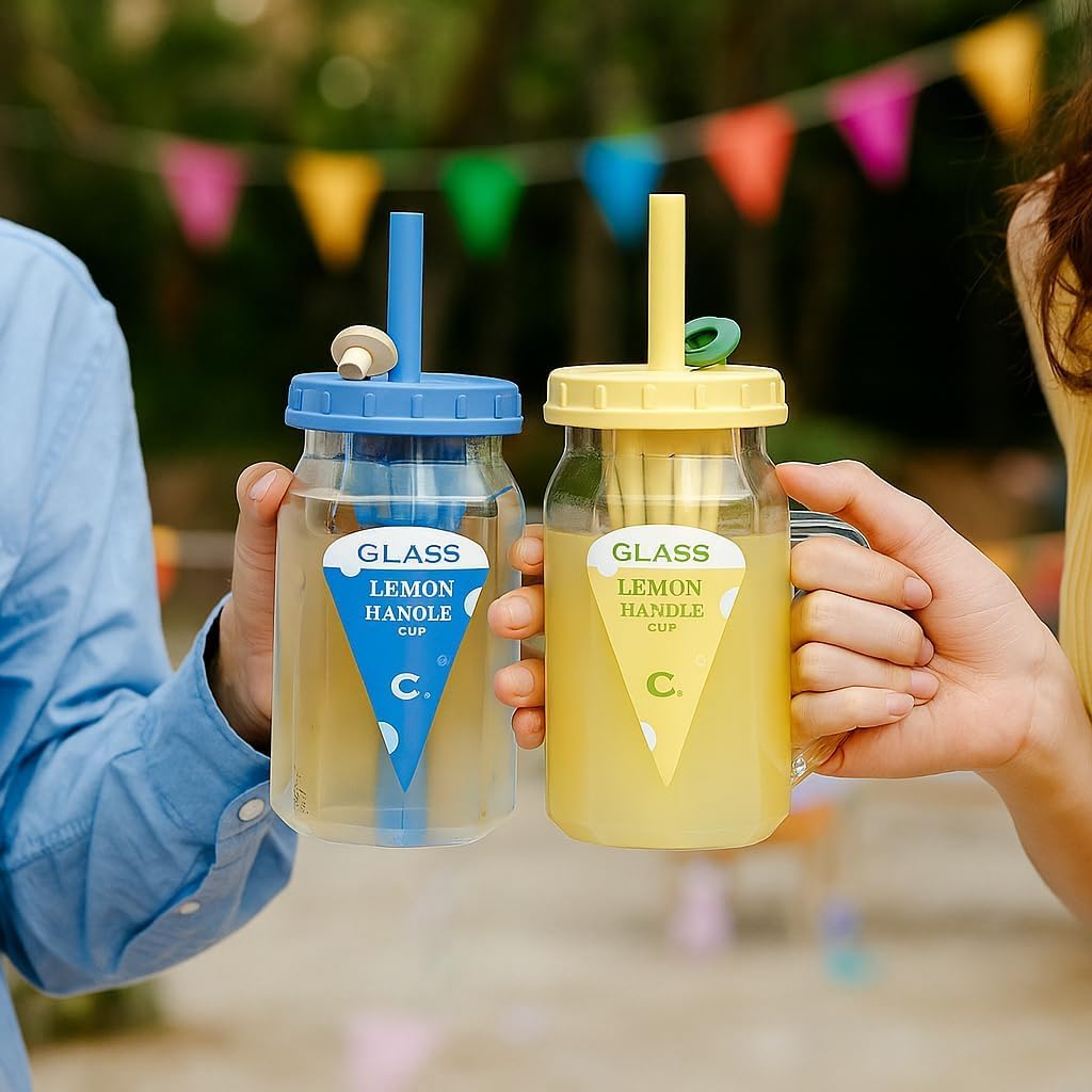 Glass Sipper with Fruit Infuser and Squarish Handle,500 ML,Set Of 1,Comfortable Grip Infused Bottle for Detox & Hydration,Water Bottle for Gym,Office,Yoga & Travel,Sipper for Daily Use,Random Colours