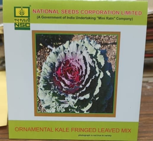 NSC Ornamental Kale Fringed Leaved Mix Seed