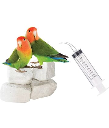 Natural Mineral Block for Birds 400g & Hand Feeding Syringe bend Tip -12ml