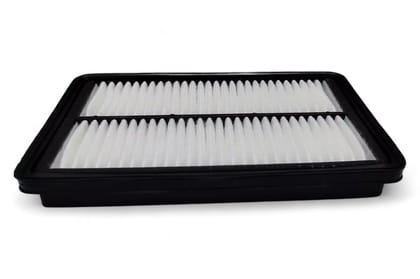 Uno Minda Air Filter AF4144PM