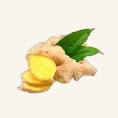 Ginger - New (Adrak)