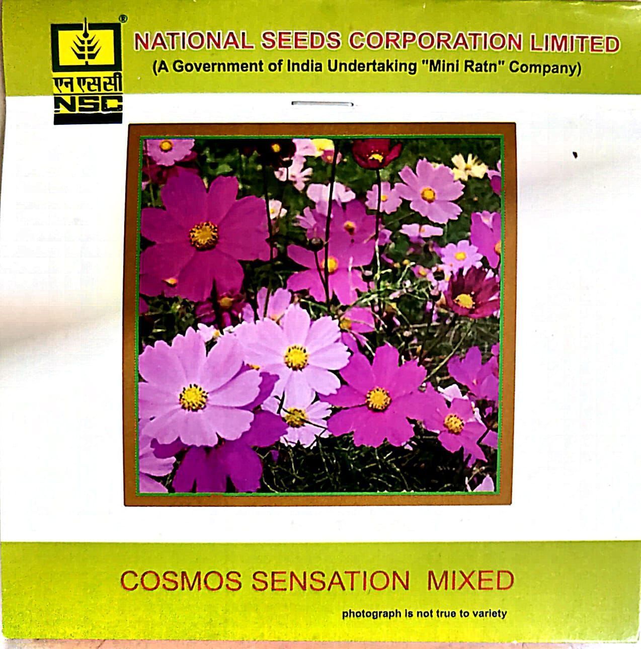 NSC Cosmos Sensation Mixed Flower Seed