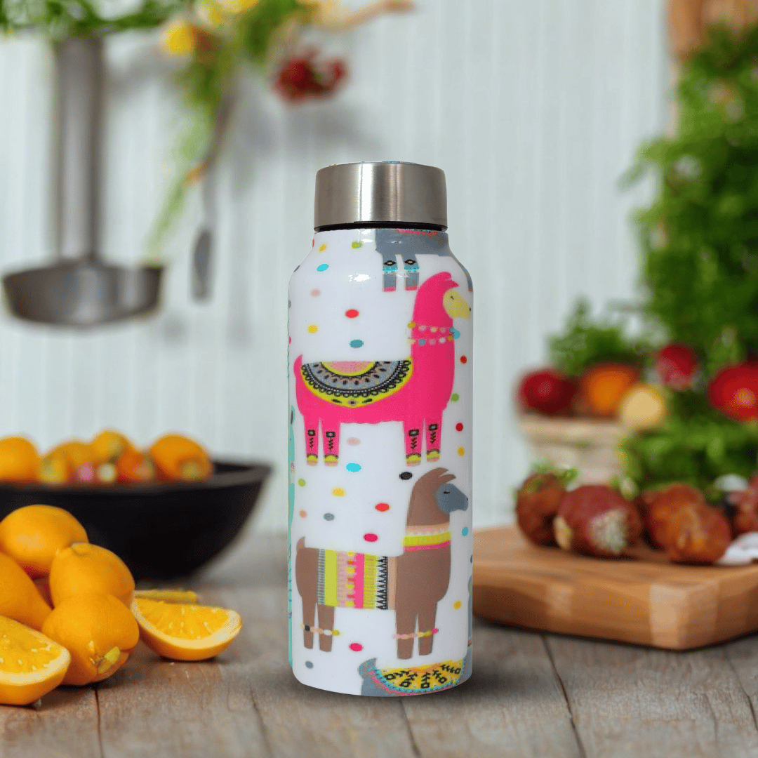 Llama Print Handcrafted Eco-Friendly Meenakari Steel Bottle(750 ML)-Llama