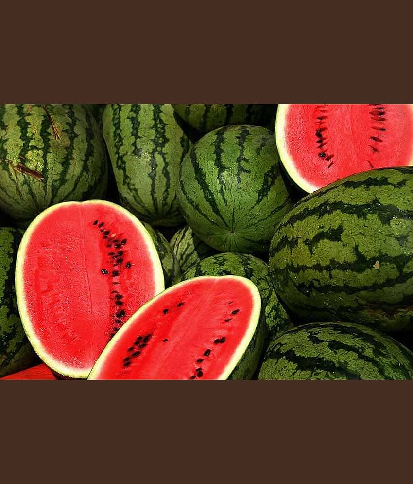 CLASSIC GREEN EARTH - Watermelon Fruit ( 15 Seeds )