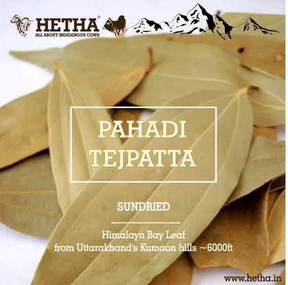 Himalayan Bay Leaf / Tejpatta (Size - 100g) by HETHA