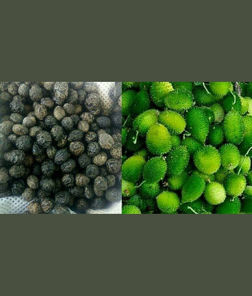 Kantola Seed (Teasle gourd) | Pack of 20 Seeds