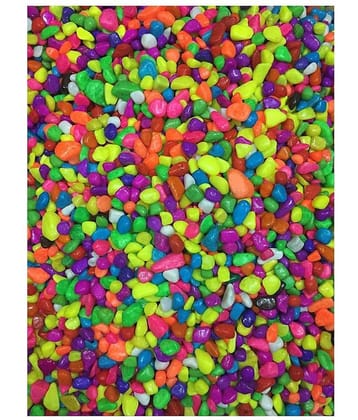 Afast Multicolor Pabbles/Stone For Garden, Plants, Aquarium & Home Decor Wt. 450g