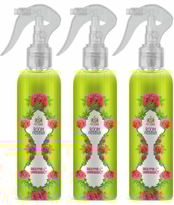 ST.JOHN Eucalyptus Lemongrass Room Freshener For Home & Office 250ml Each (750ml) - Pack of 3