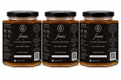 Favours Organics Wild Forest Honey 250g | Raw Unprocessed | No Added Sugar or Preservatives | 100% Pure Honey | Immunity Booster | Natural Forest Harvested Honey Pack of 3