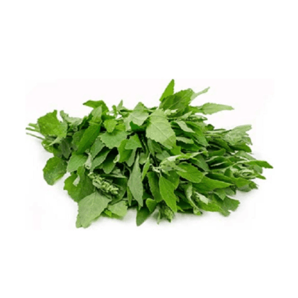 Bathua - ( 1 Bunch ) Bathua - ( 1 Bunch )
