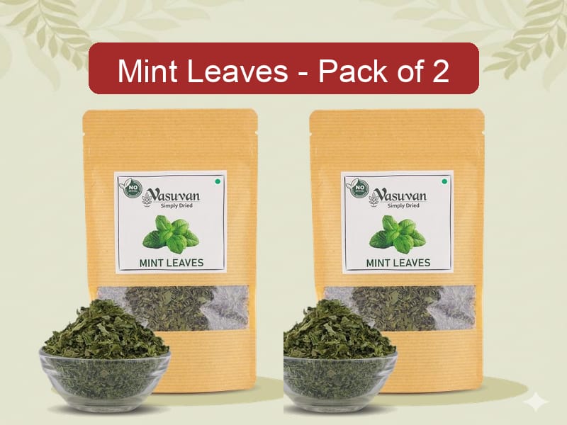 Vasuvan Dried Mint Leaves (Pack of 2 - 40g Each) | Dehydrated Pudina Multipack