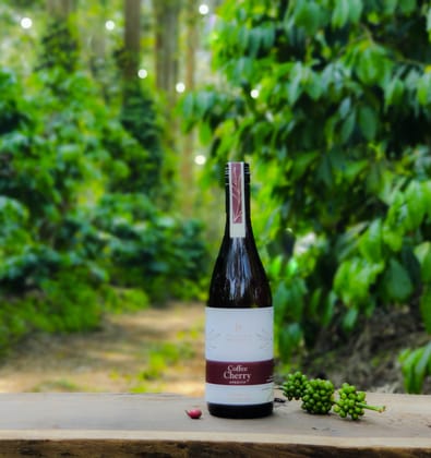 Fermented Fruit Juice-Coffee Cherry