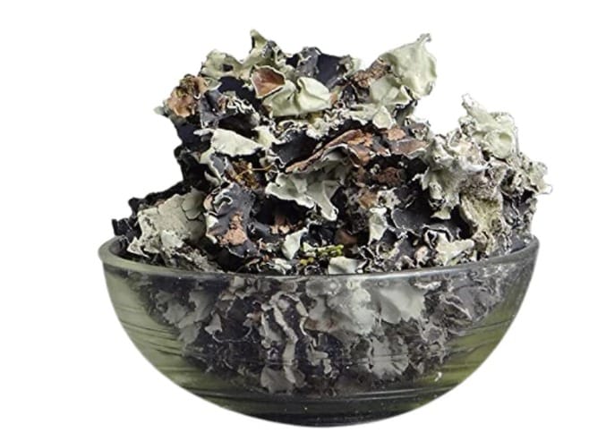 Stone Flower Dagad Phool 100 G