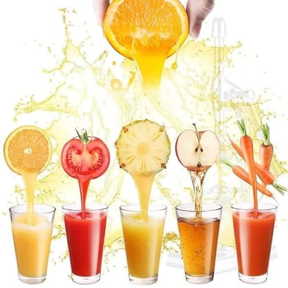 Fruit Juicer