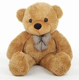 Teddy bear