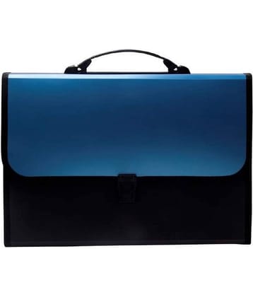 RAVARIYA GRAPHICS - Blue Expandable File ( Pack of 1 )