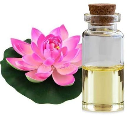 Lotus Hydrosol Extract