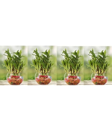 Green plant indoor - Green Wild Artificial Flowers With Pot ( Pack of 4 )
