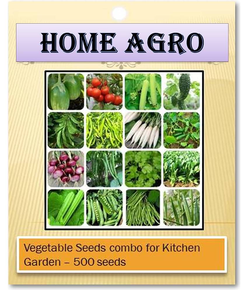HN organic seed - Vegetable Seeds ( 500 )